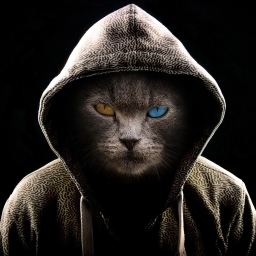 Photo de profil
